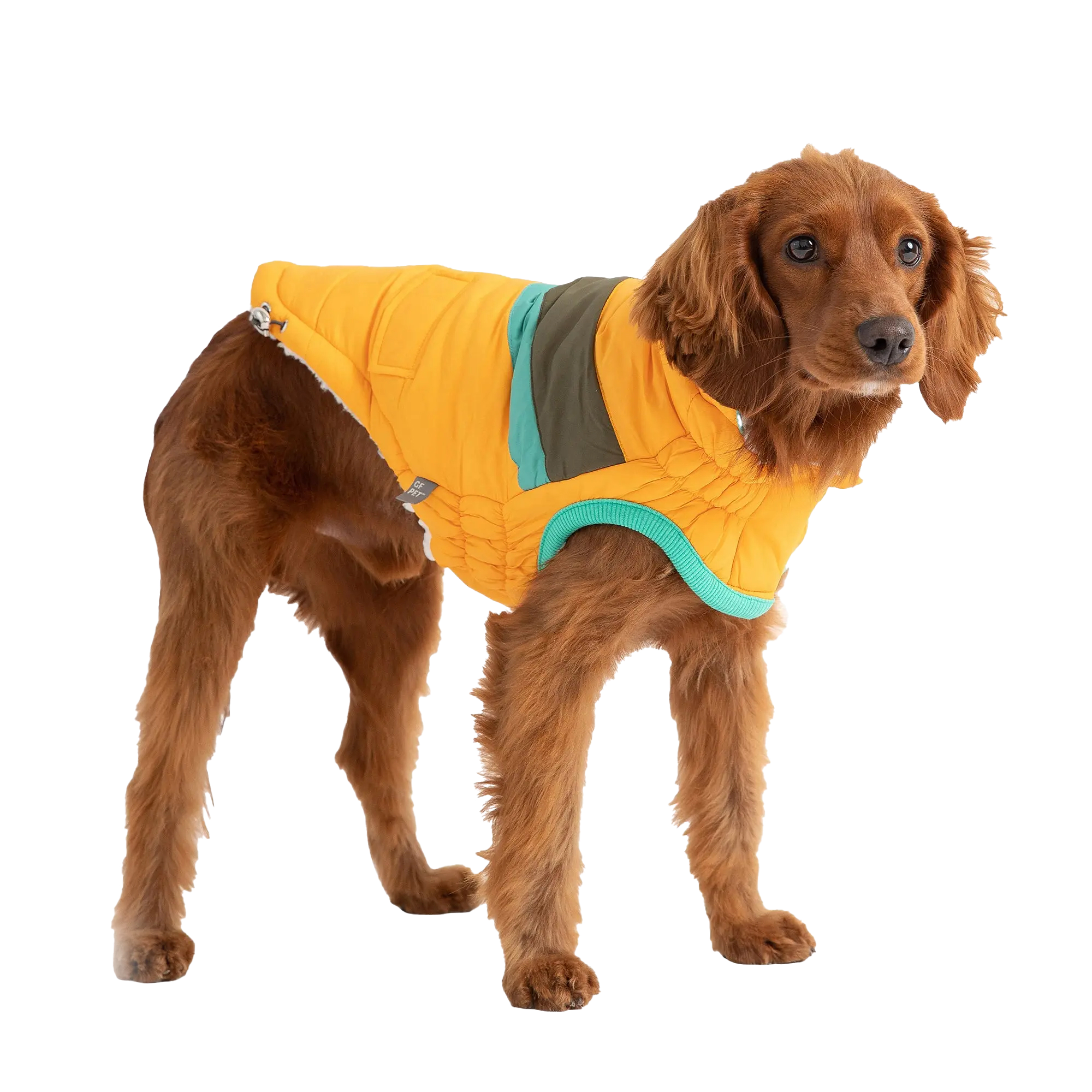 GF Pet Куртка-пуховик для собак Alpine, жовта