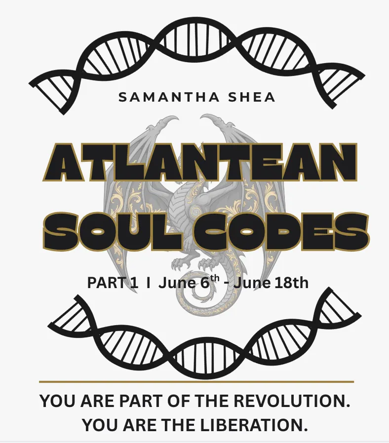 SOUL CODES SERIES