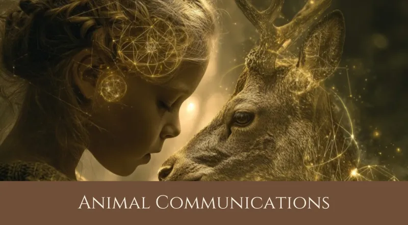 Animal Communications — Winter 2027 (Tuesdays 1:00 PM PT)