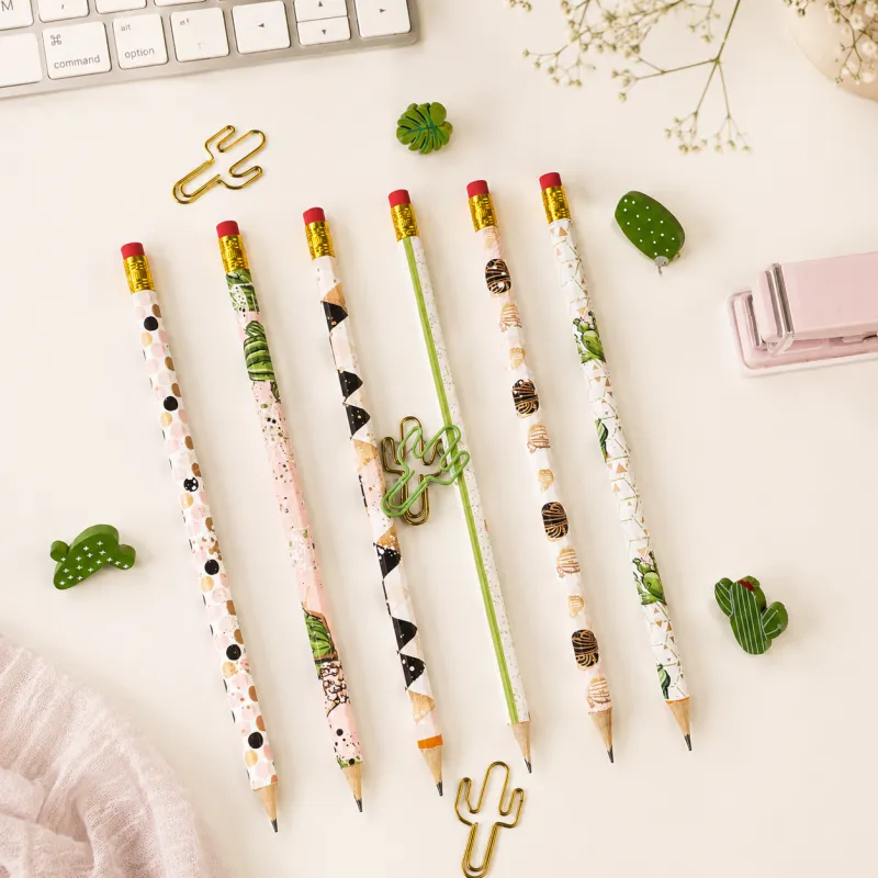 🌵 Cactus Pencil Collection, Set of 6
