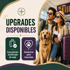 Upgrades