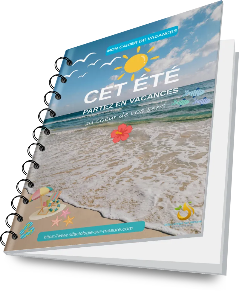 E-BOOK CAHIER DE VACANCES PARTEZ EN VACANCES AU COEUR DE VOS SENS