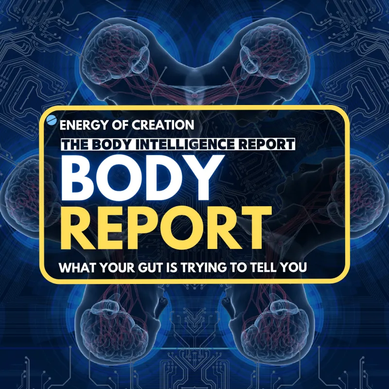 The Body Intelligence Report