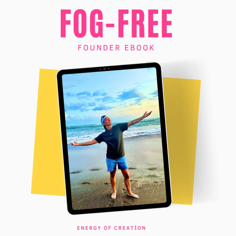 The Fog-Free Founder Ebook