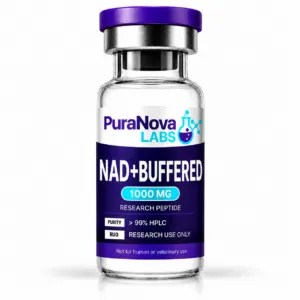 NAD + Buffered 1000 mg