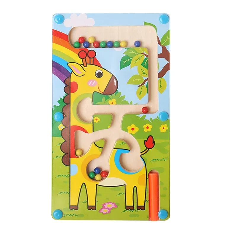 Magnetic Color Sorting Maze