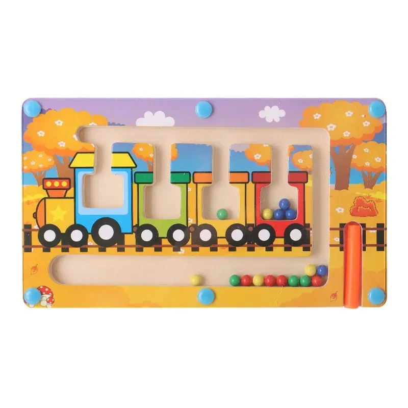Magnetic Color Sorting Maze