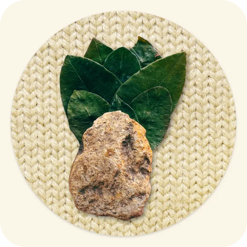 Shamanic Quechua Limpia Healing