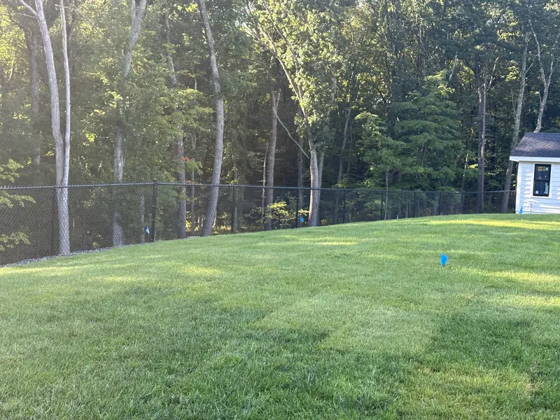 Black chain link fence along the tree line of a backyard in North Reading by All Fenced In