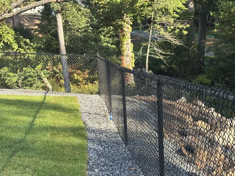 Black chain link fence on a wooded property line in North Reading by All Fenced In