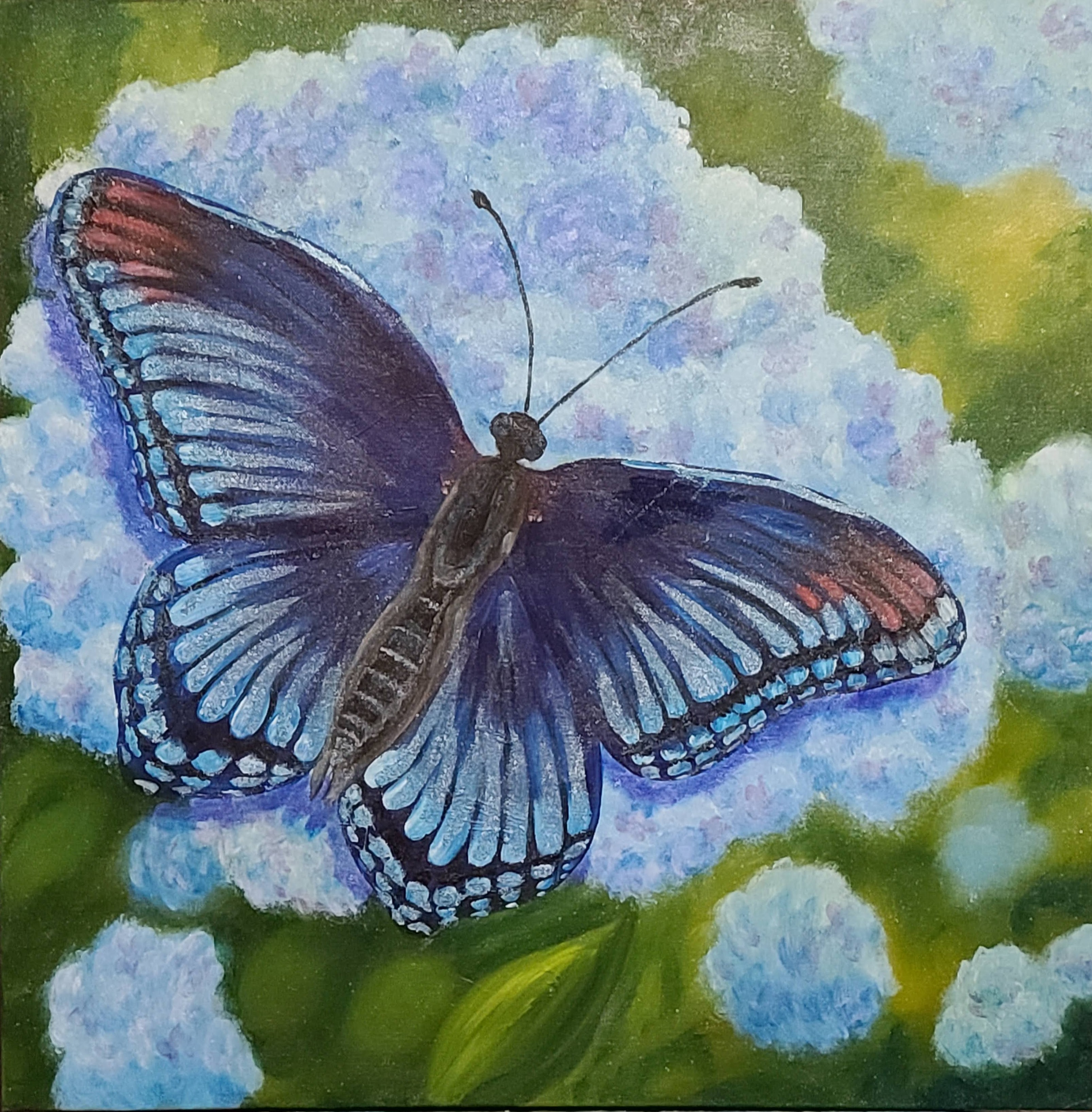 Beauties in Blue