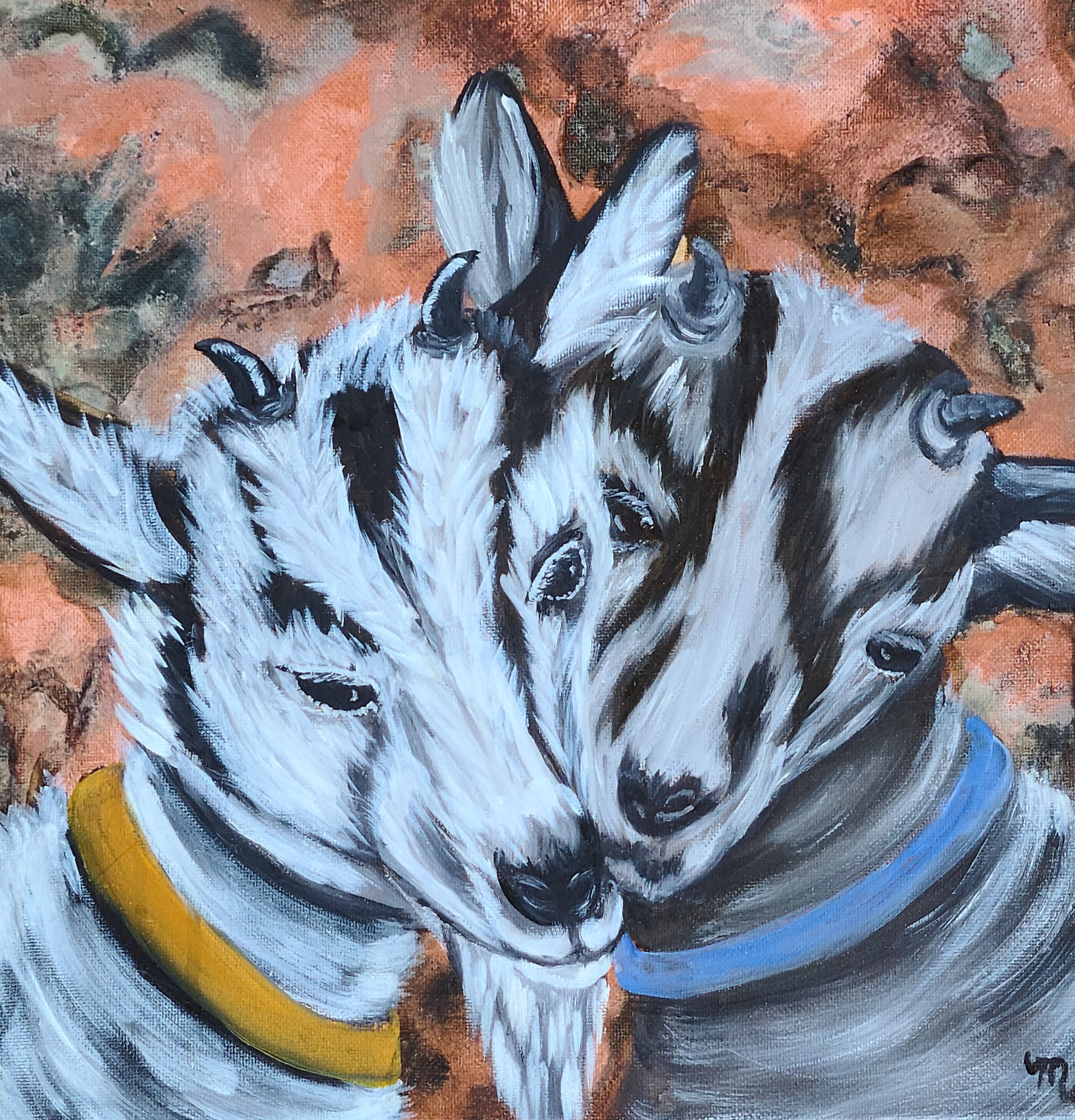 Goats Galore