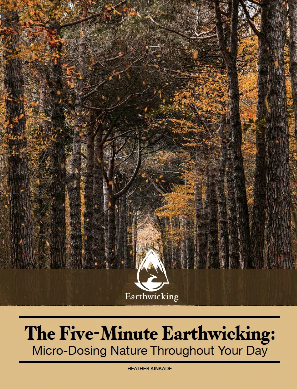 The Five-Minute Earthwicking: Micro-Dosing Nature Throughout Your Day