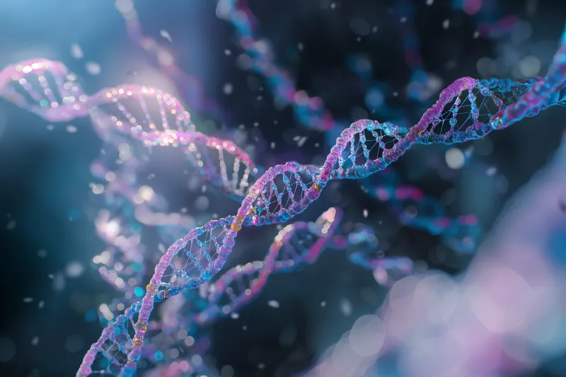 Both Fitness and Nutrition DNA Test