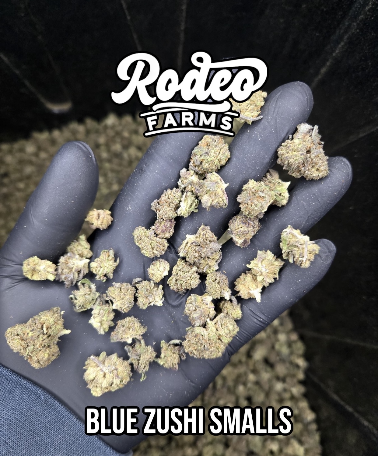 Blue Zushi Smalls