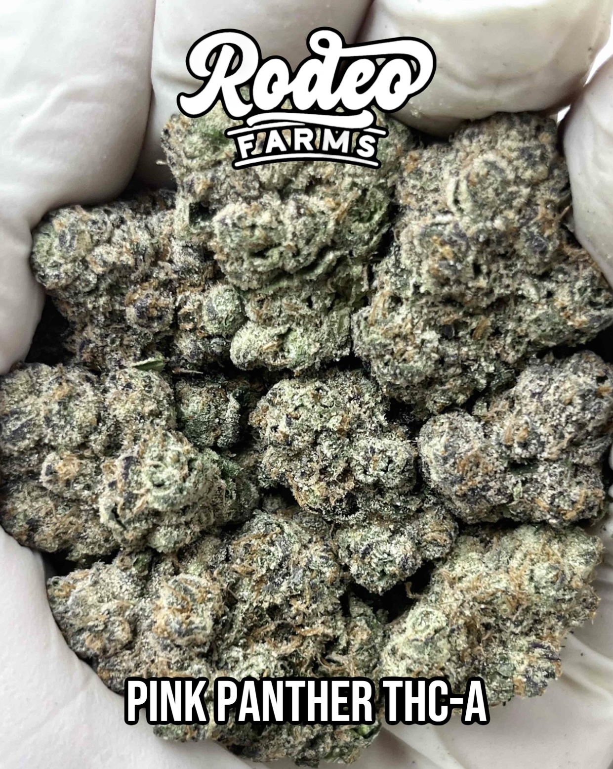 Pink Panther THC-A