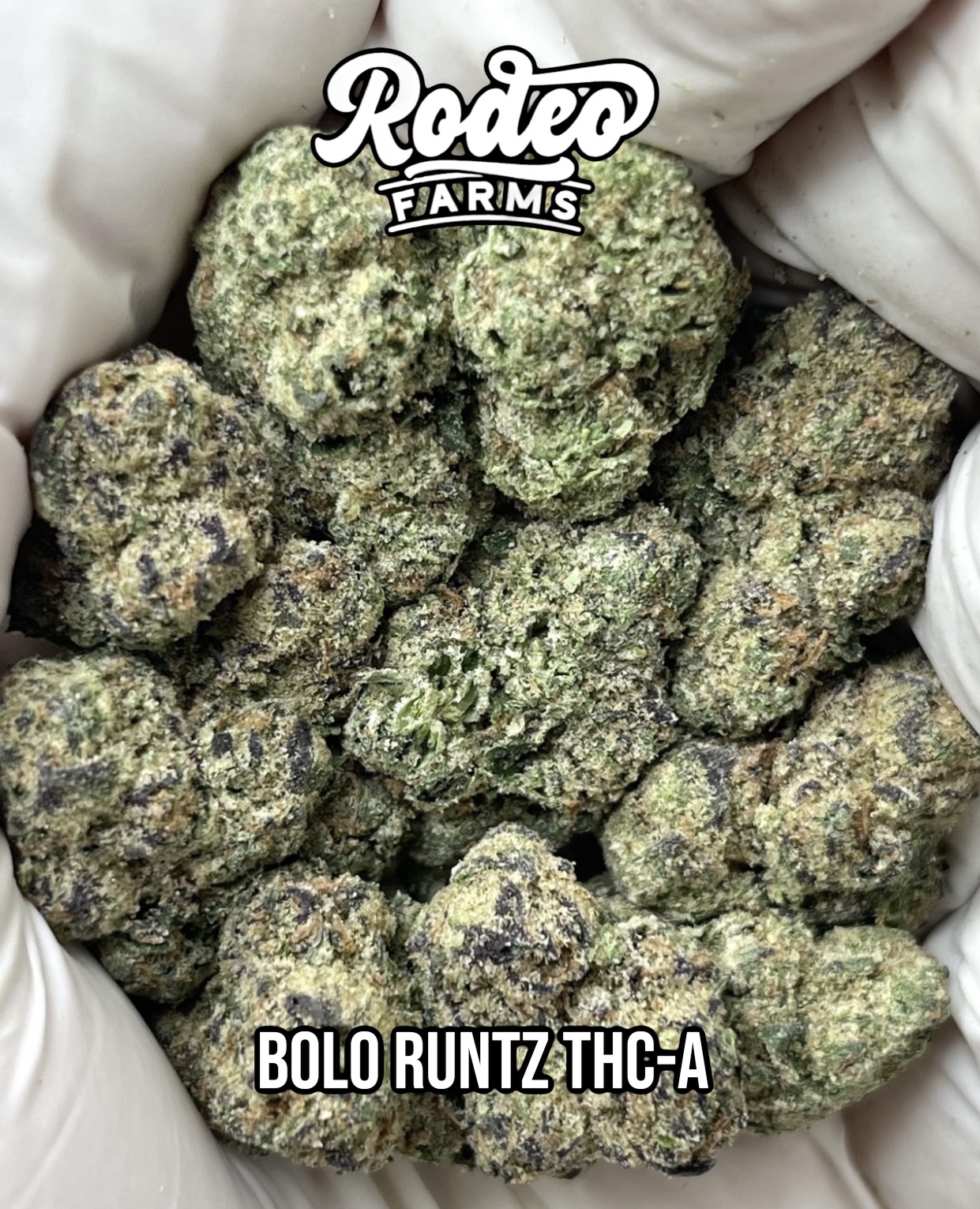 Bolo Runtz THC-A
