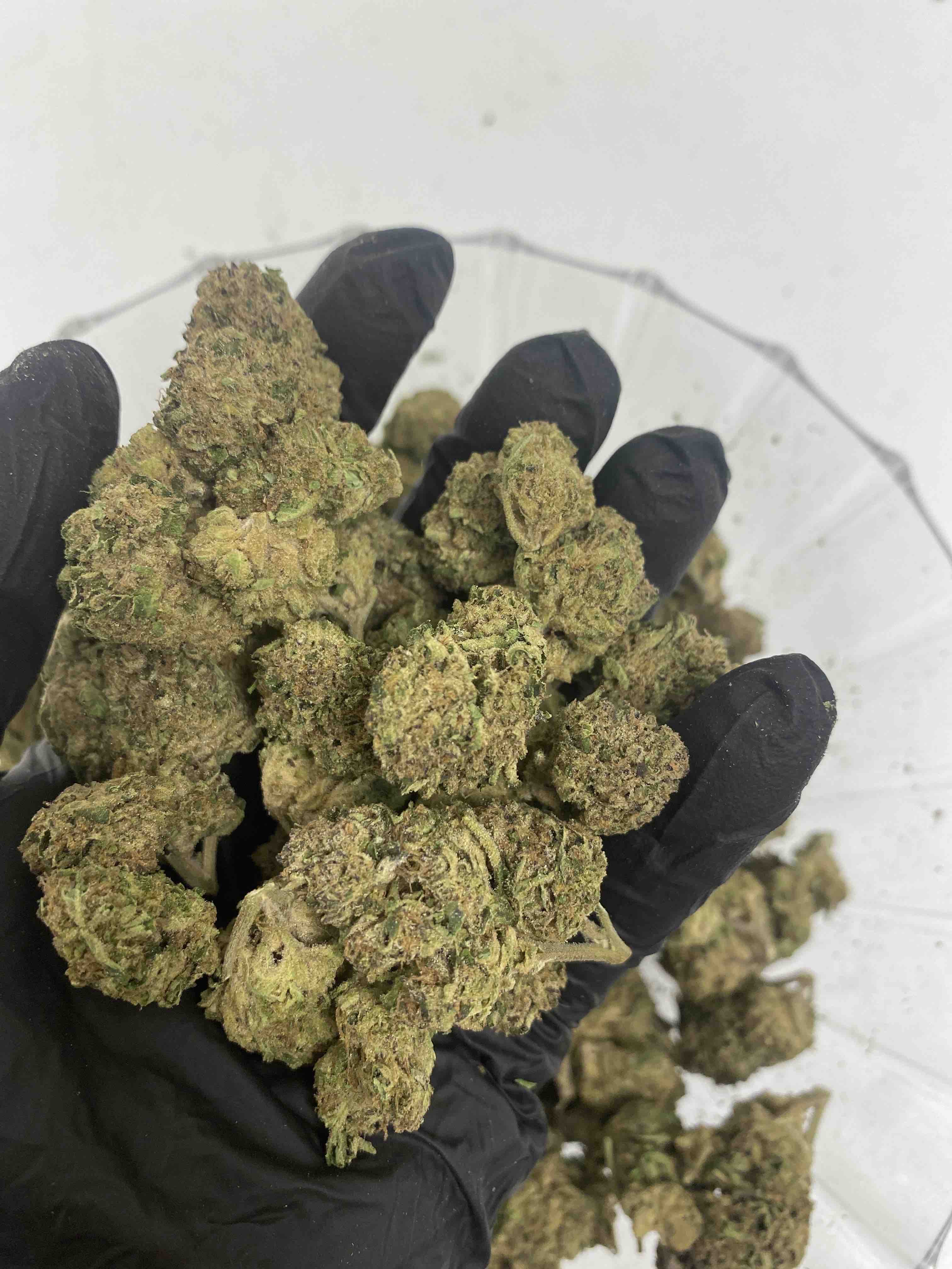 Blueberry OG