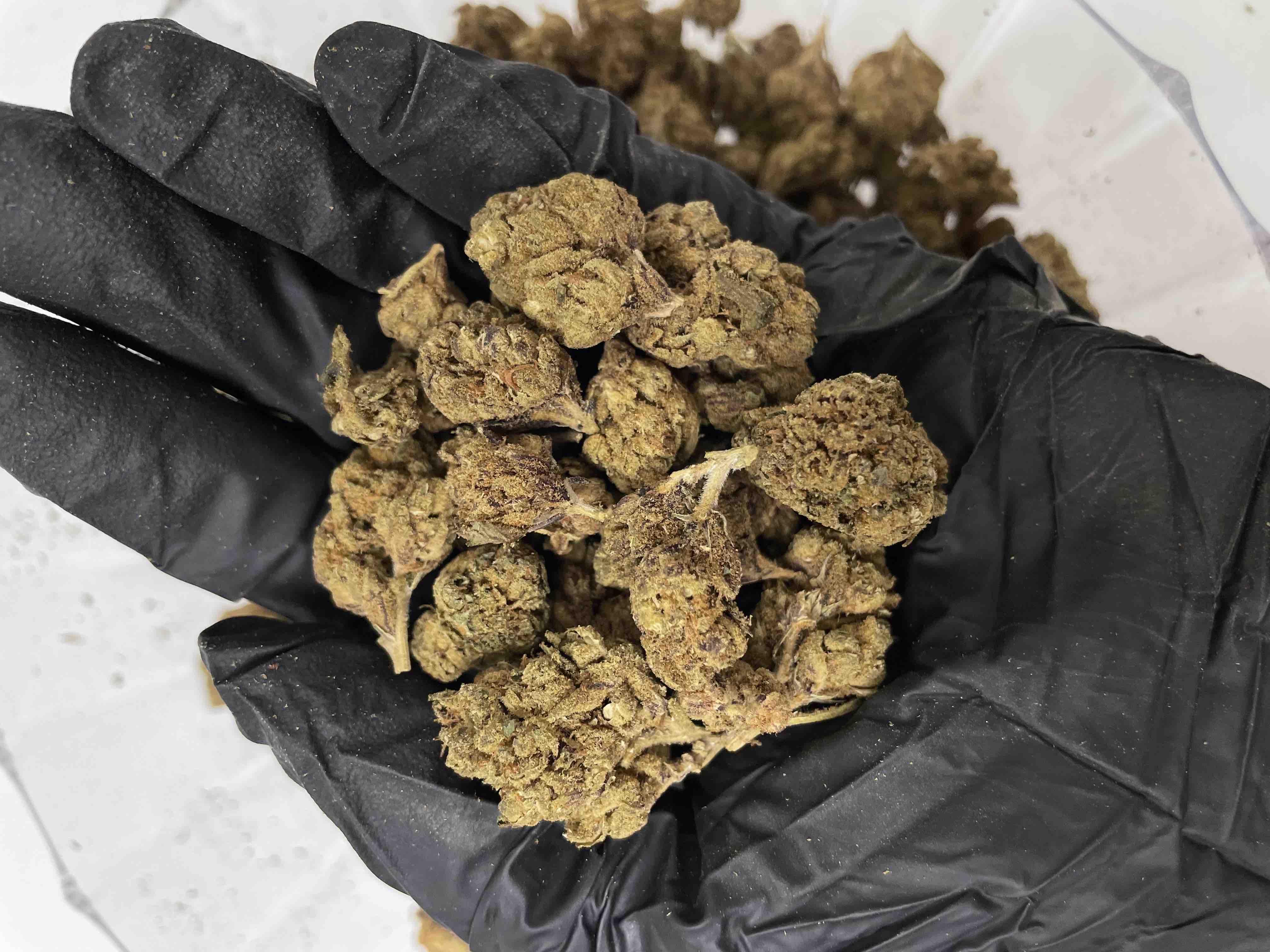 Blue Dream