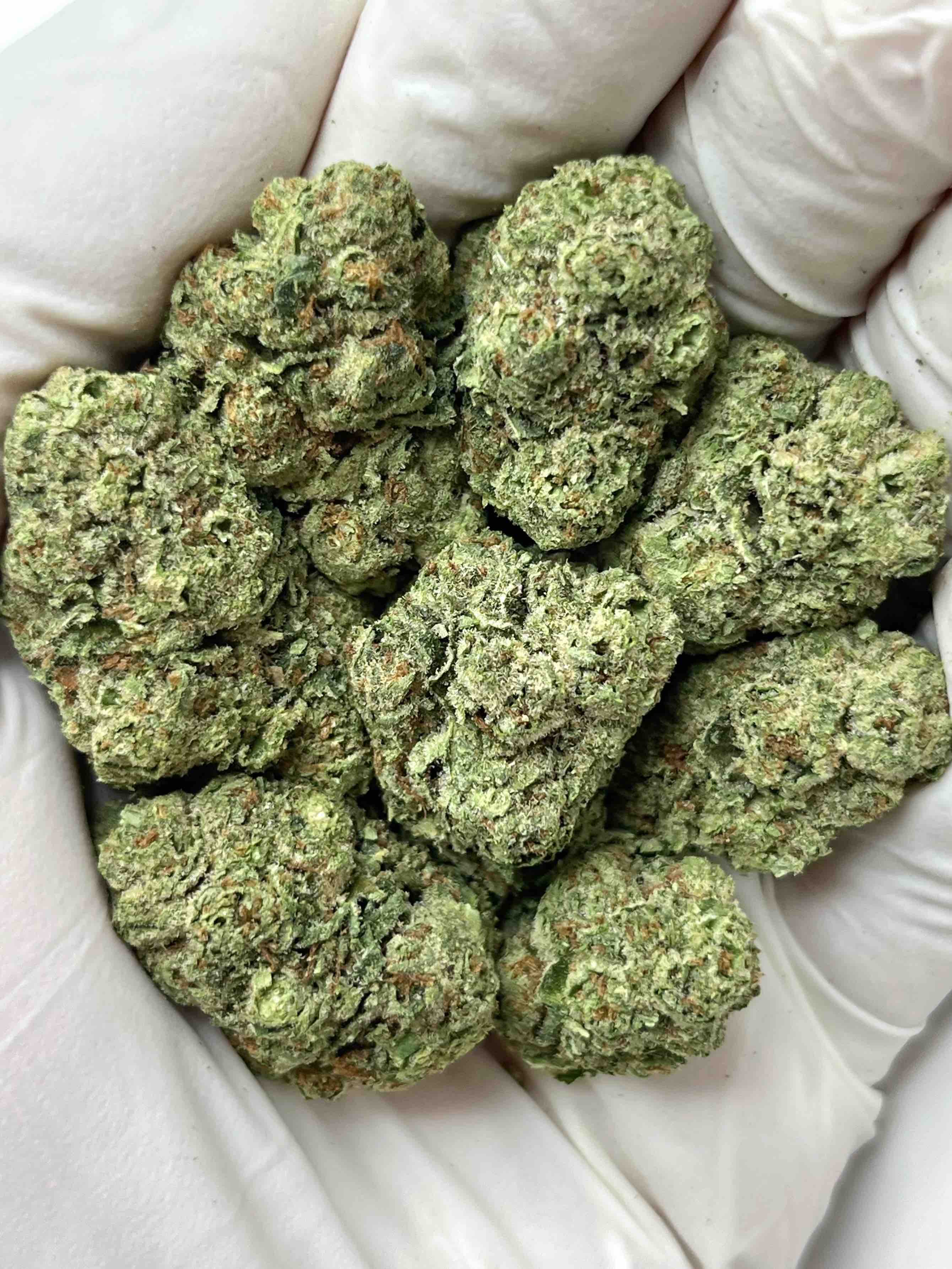 Gelato - Indoor
