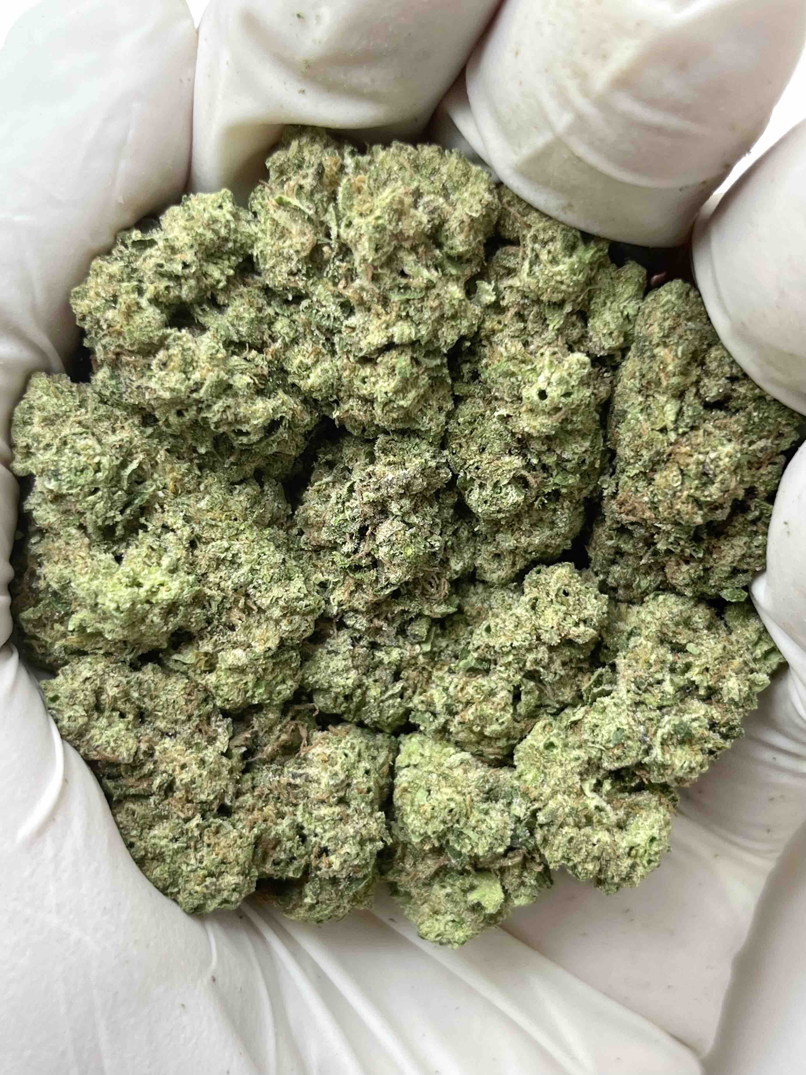 Lemon Cherry Sherbert