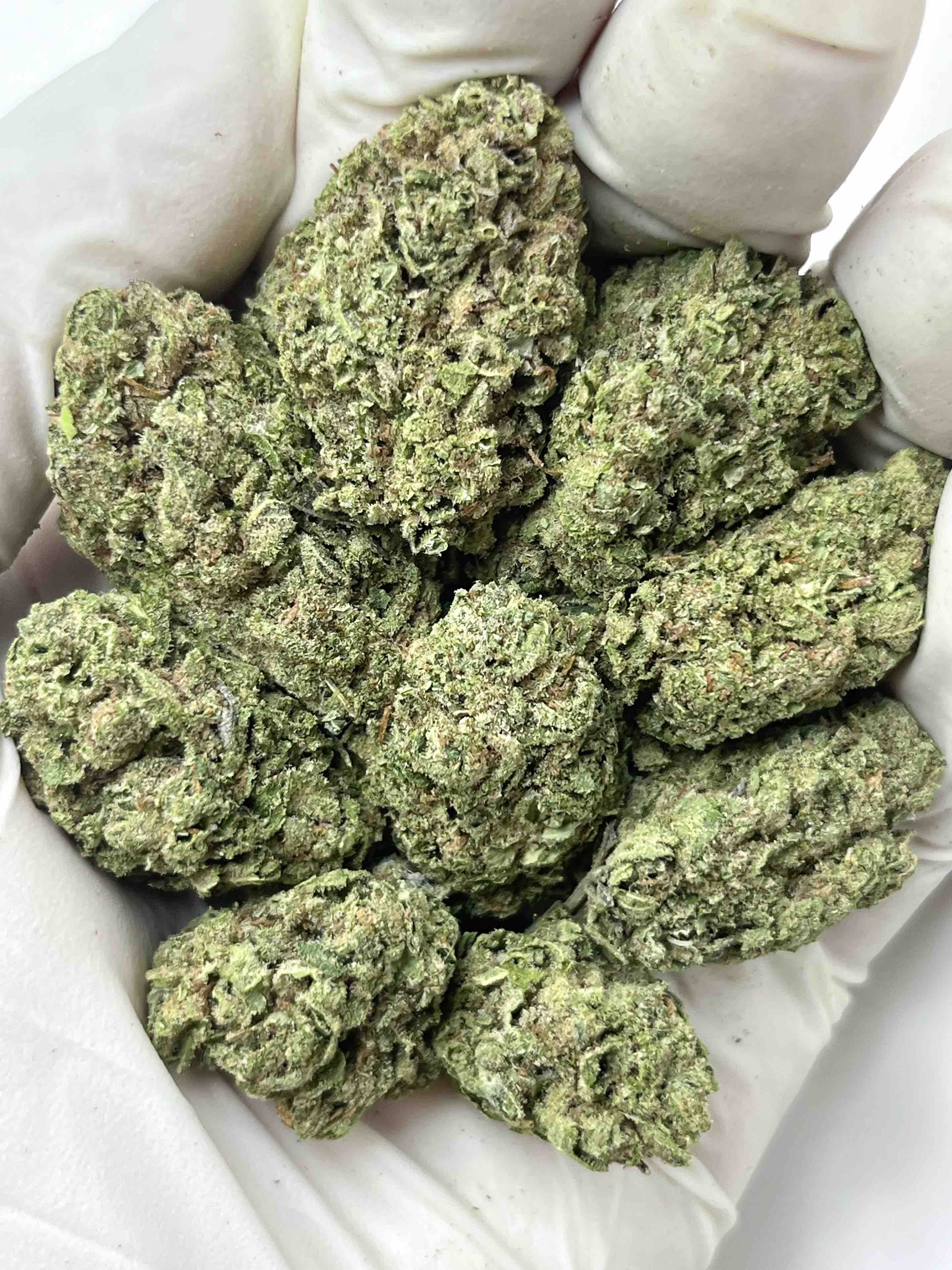 Lemon Cherry Gelato