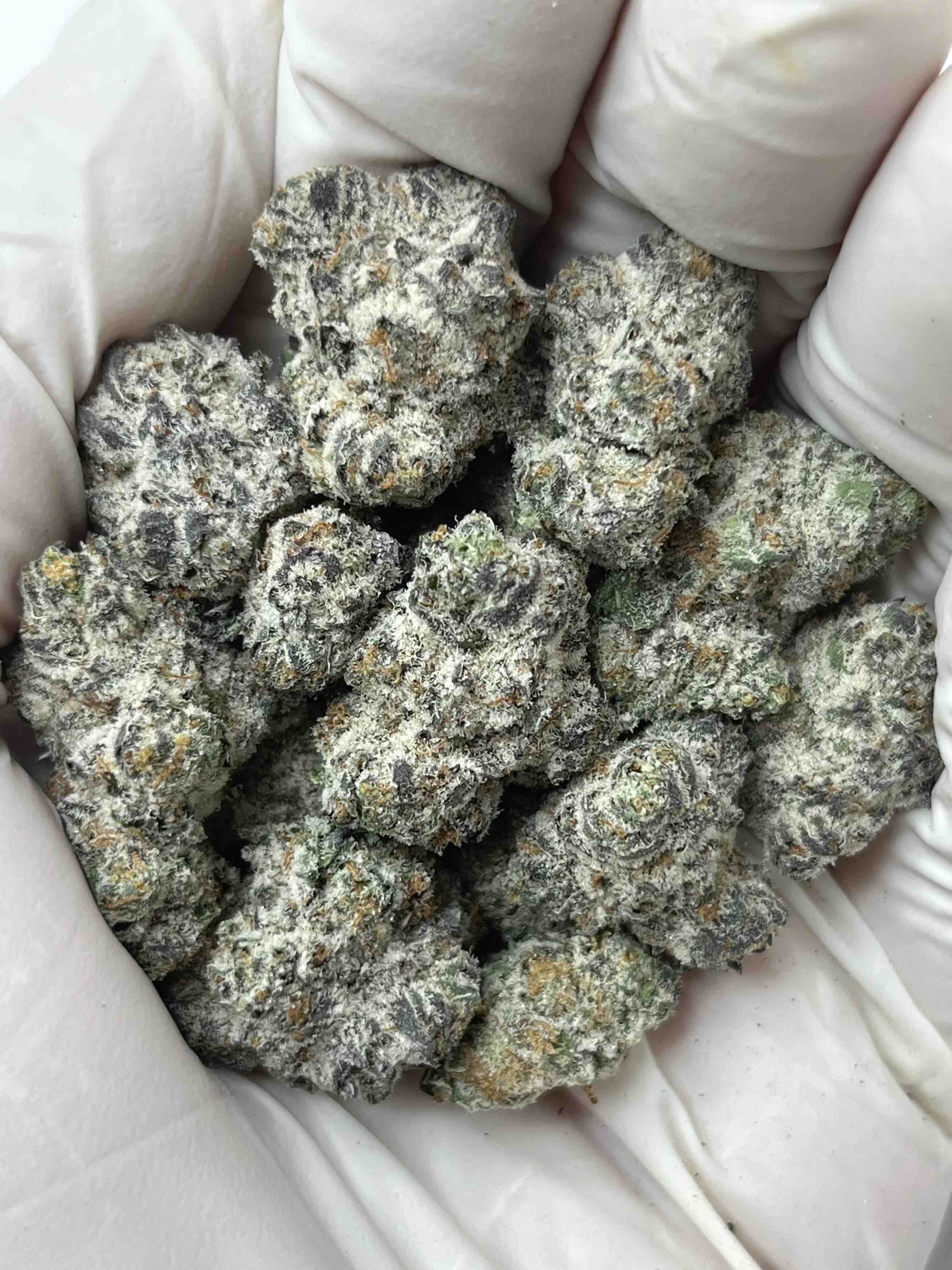 Secret Cookies