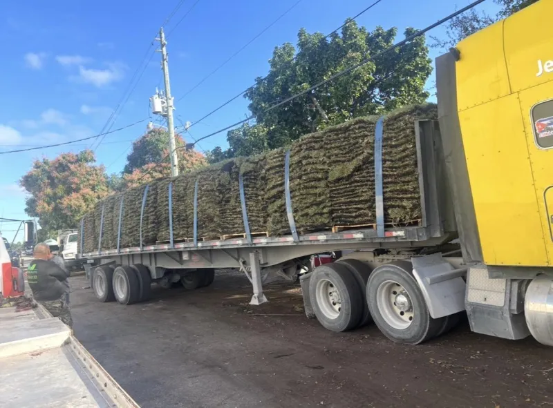 Delivery Add-On