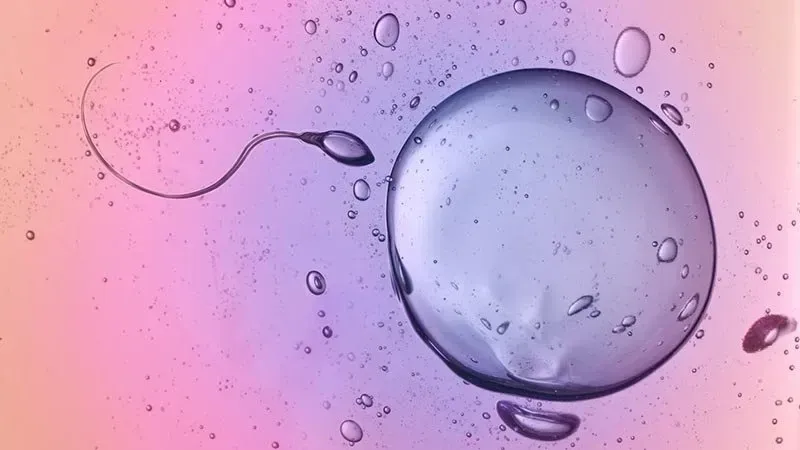 Inscription atelier fertilité 29 mars 2025
