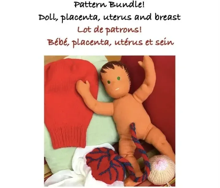 Lot de patrons: bébé, placenta, utérus et