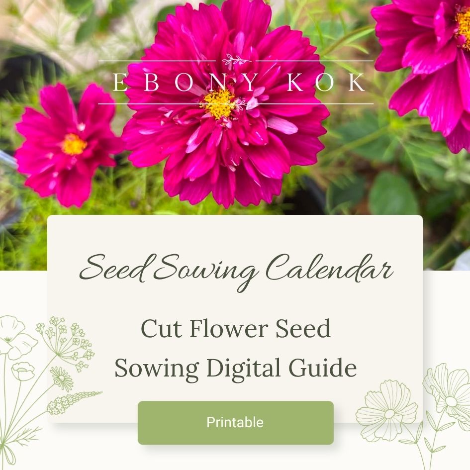 Seed Sowing Calendar · Cut Flower Printable Guide