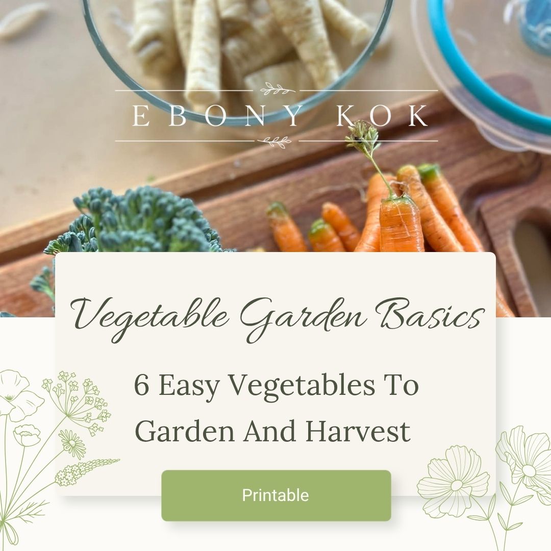 Vegetable Gardening Basics | 6 easy vegetables to grow and harvest