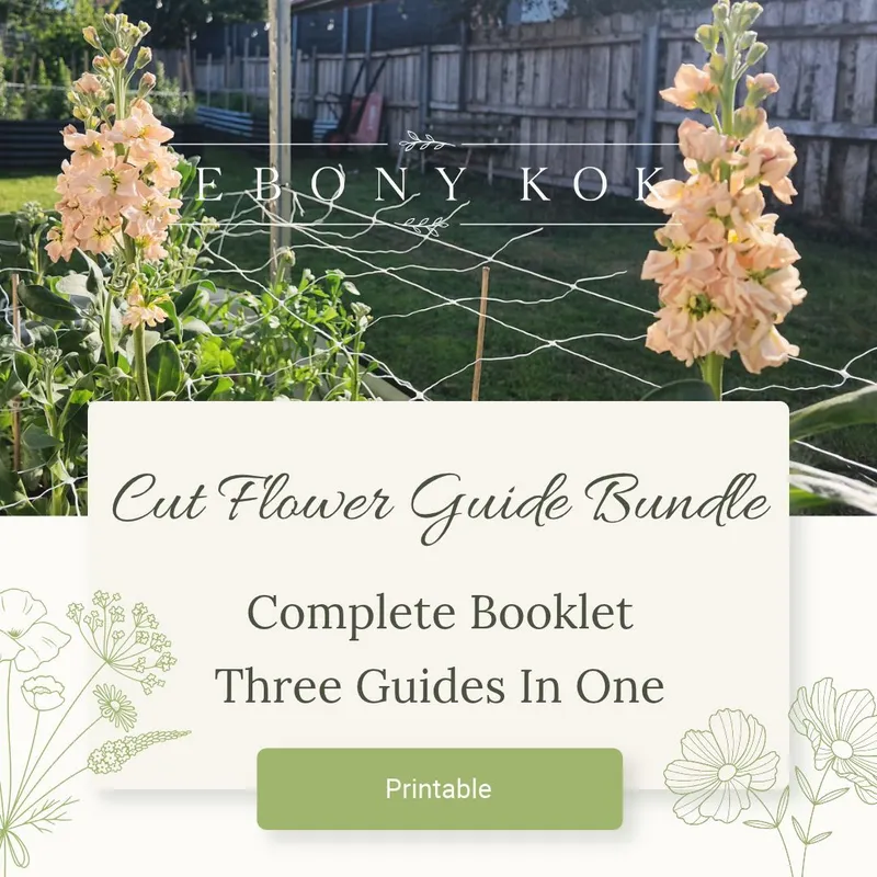 Cut Flower Bundle | Three Complete Guides