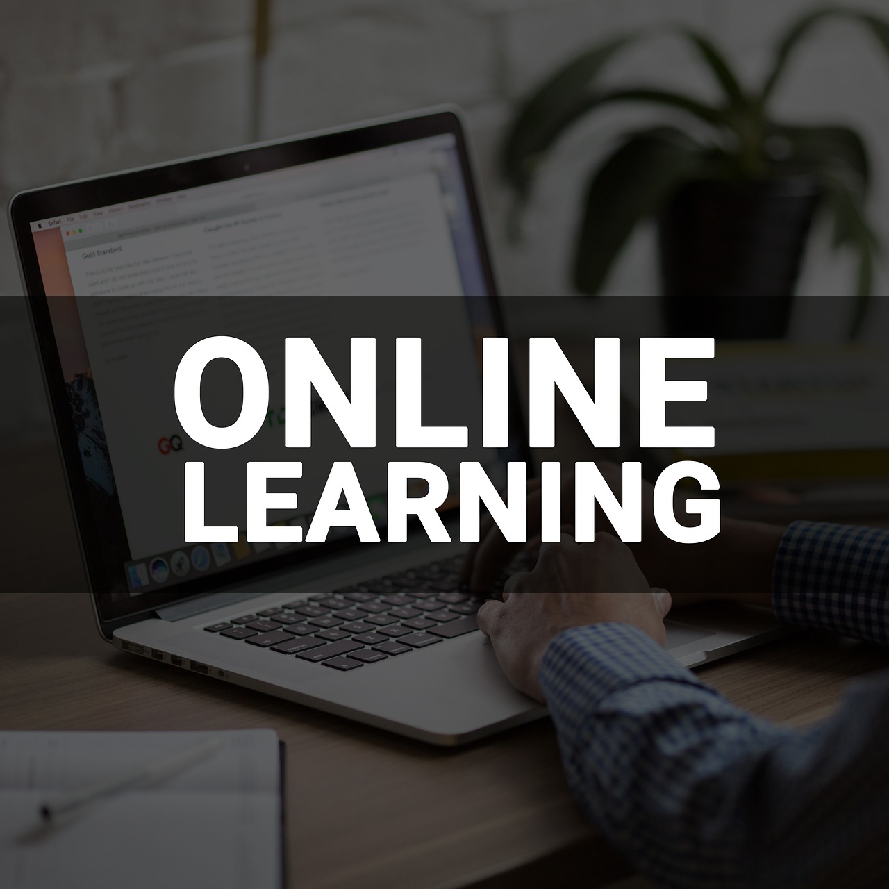 Training Programs