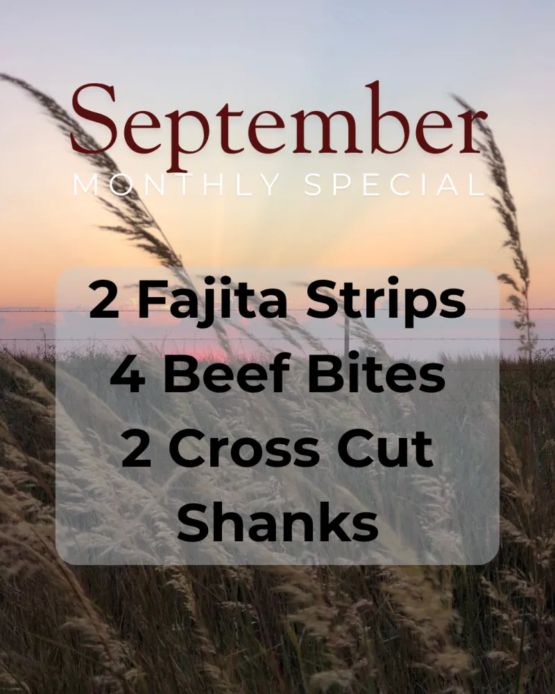 September Monthly Special-LIMITED TIME