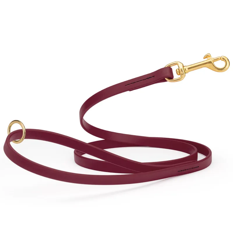 Leashes & Leads
