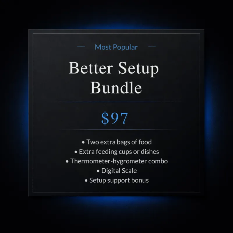 The Confident Keeper Setup Upgrade