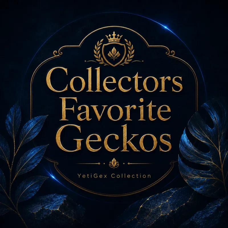 Collector Favorite