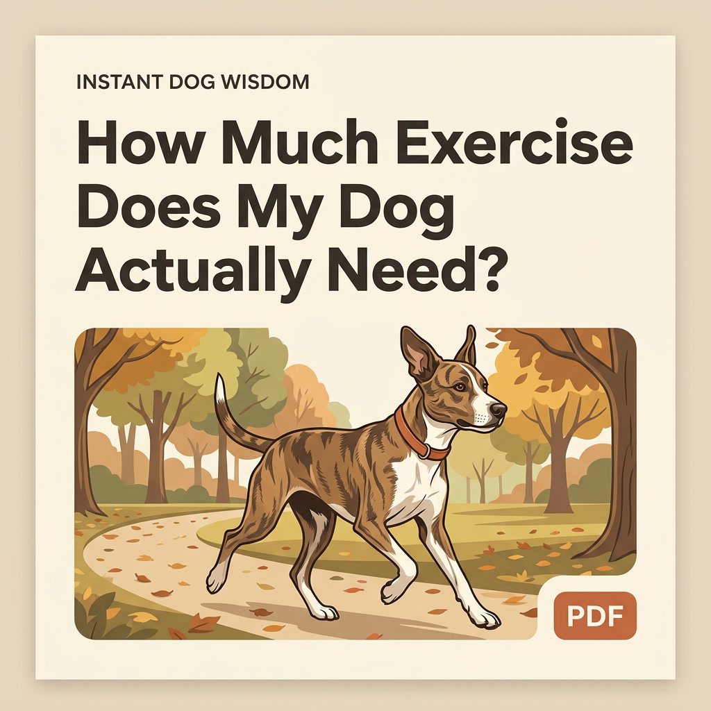 How Much Exercise Does My Dog Actually Need? - PDF Version