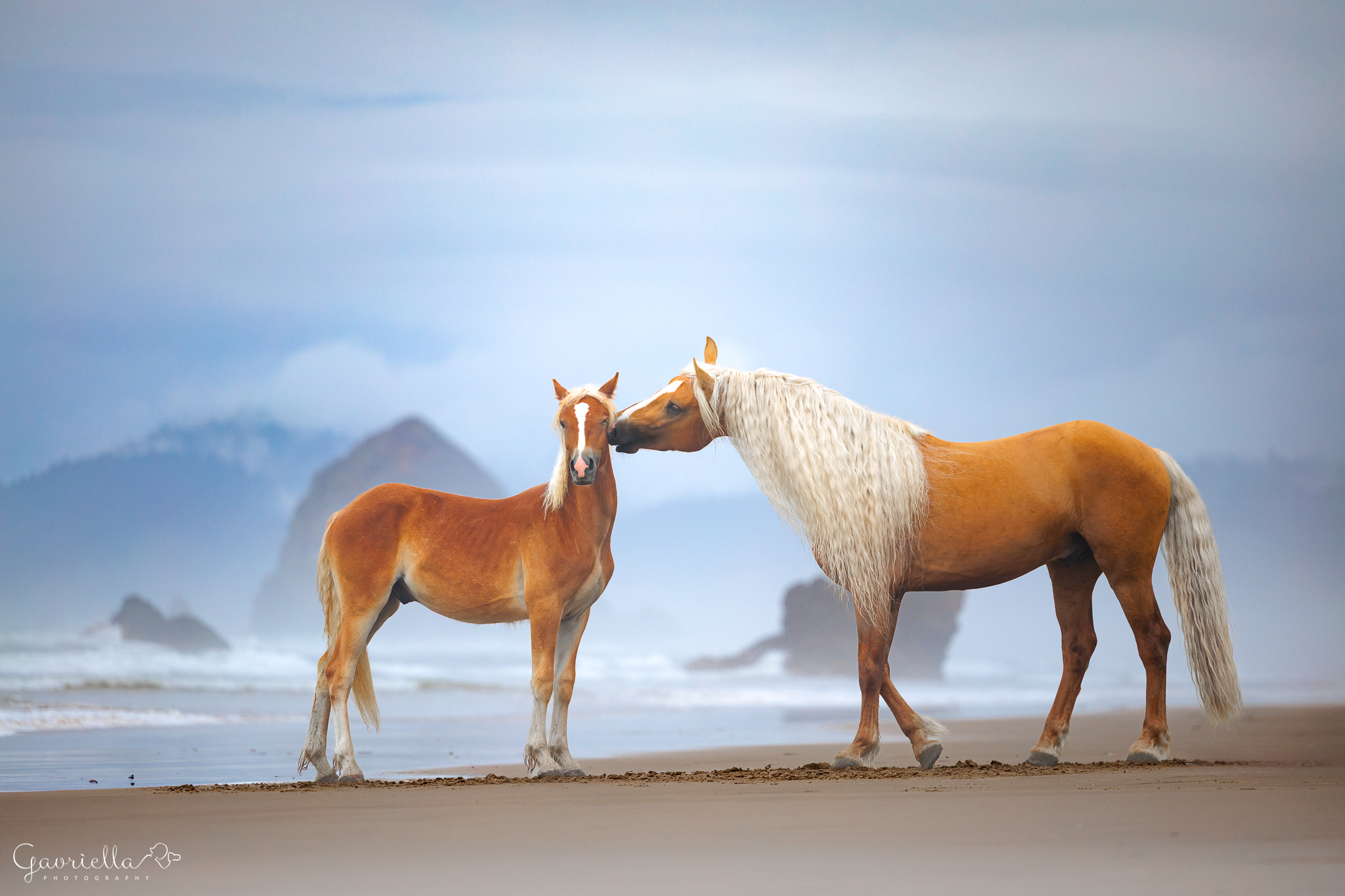 Iconic & Masquerade - 3