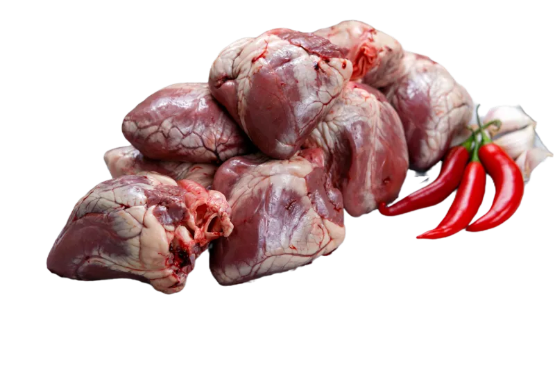 Lamb Heart 