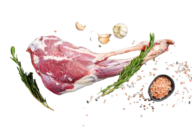 Lamb Leg 
