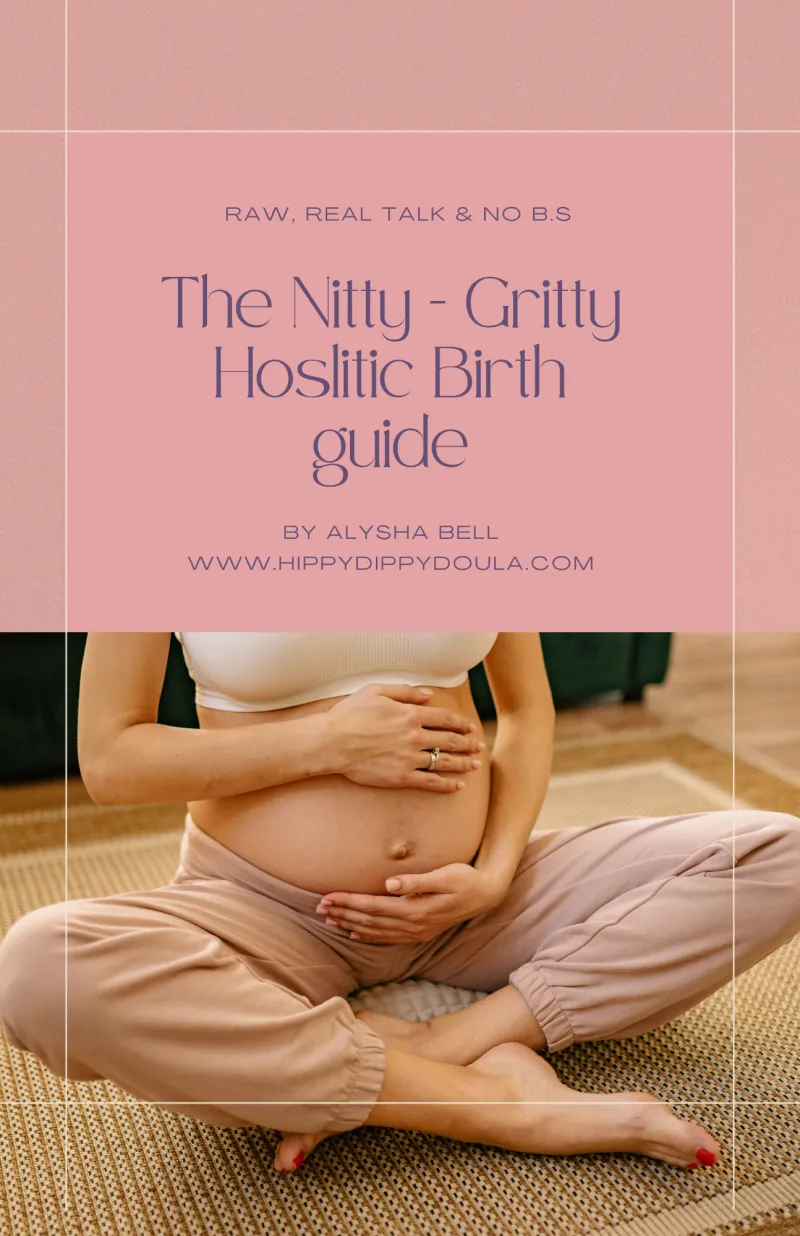 The Nitty-Gritty Holistic Birth Guide