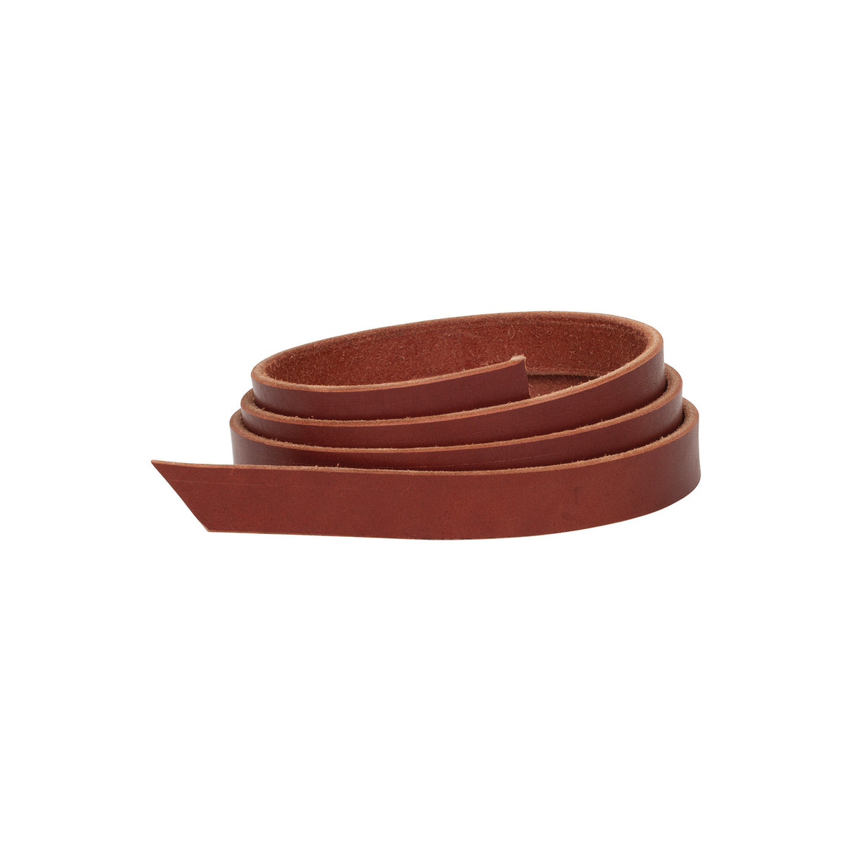 English Bridle Belt