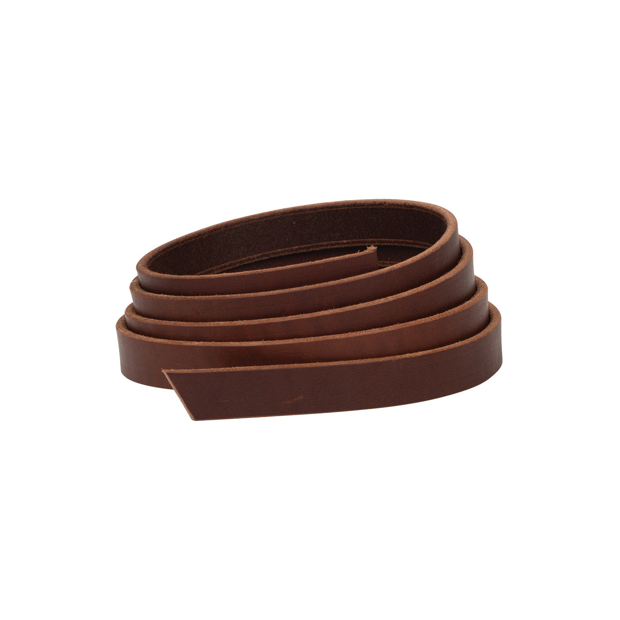 English Bridle Belt
