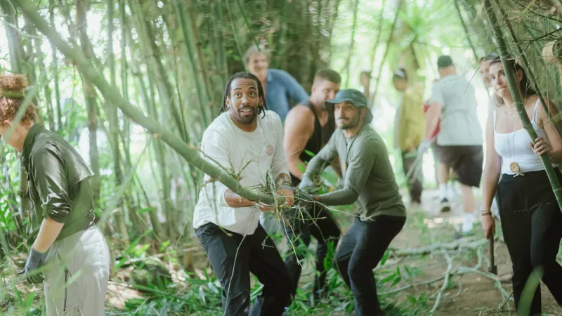 Bamboo forestry and harvesting