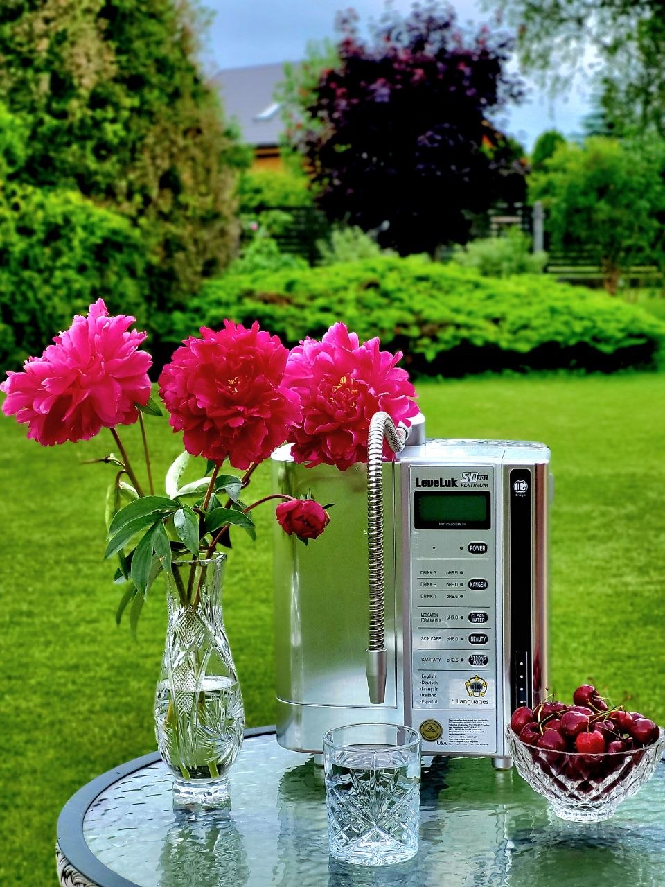 Kangen® SD501DX