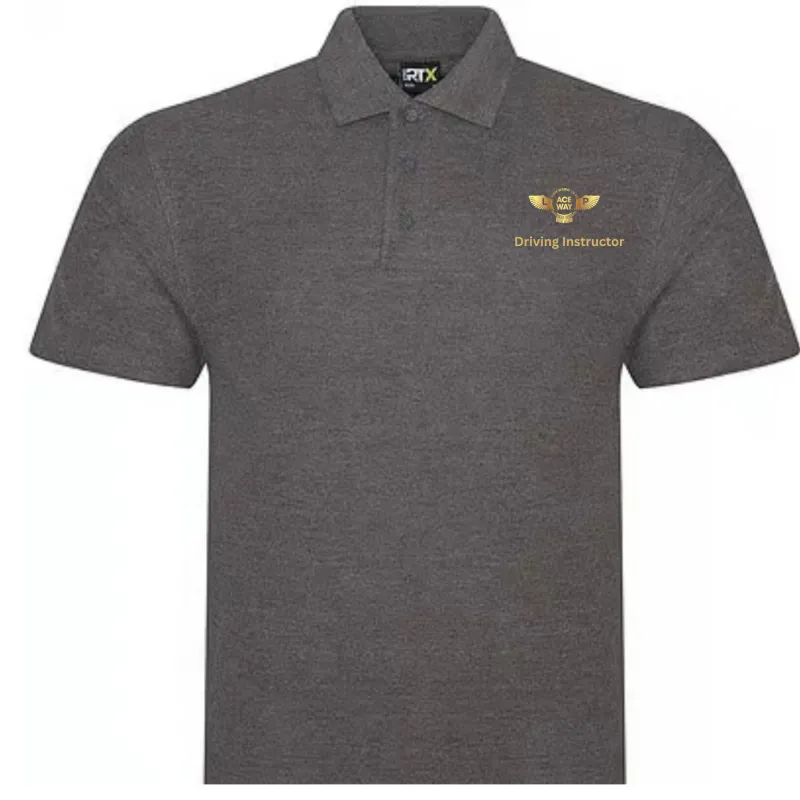 Men Polo Shirt With Embroidered Logo