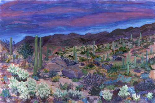 Sonoran Desert Reverie