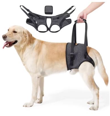 Orthopedic Dog Bed